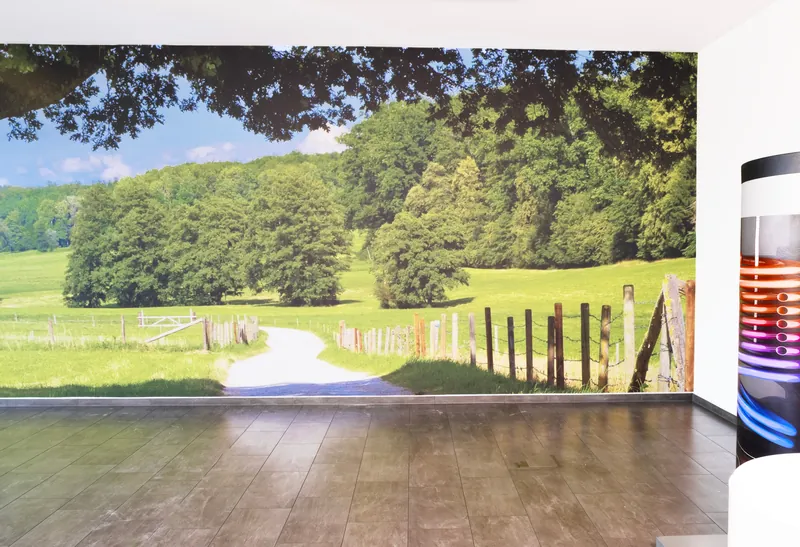 Wandbild mit Waldrand und Feldweg über die ganze Längswand